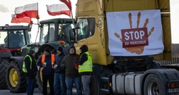 Irland will gegen Mercosur-Abkommen stimmen - dennoch Mehrheit für Handelsabkommen