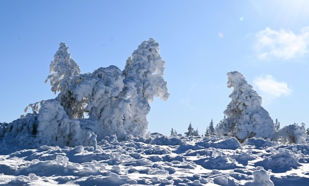Bild vergr&ouml;&szlig;ern: Landwirte können mit Kälteeinbruch und Schneesturm gut leben