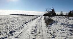Kälteeinbruch: Verbände erwarten positive Folgen für Landwirtschaft