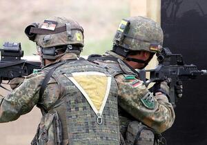 Grüne deuten mögliche Unterstützung für Bundeswehr in der Ukraine an