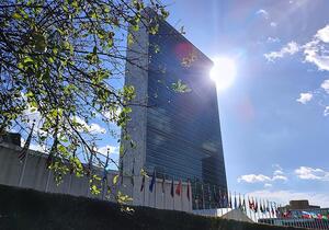 Völkerrechtler ruft UN-Sicherheitsrat zu Befassung mit Iran auf