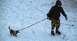 Keine flächendeckenden Auswirkungen durch Glatteis am Montag: Wenige Unfälle