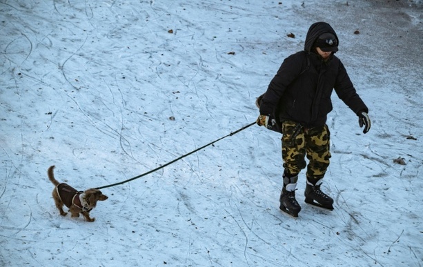 Bild vergr&ouml;&szlig;ern: Keine flächendeckenden Auswirkungen durch Glatteis am Montag: Wenige Unfälle