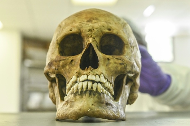 Bild vergr&ouml;&szlig;ern: Rheinland-Pfalz: Kinder finden menschlichen Schädel in Gebüsch neben Spielplatz