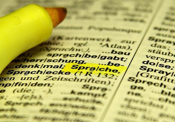 Bild vergr&ouml;&szlig;ern: Sondervermögen ist Unwort des Jahres 2025