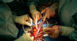 Zahl der Organspenden auf höchsten Stand seit über zehn Jahren