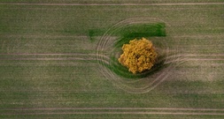 Mercosur: Agrarminister Rainer will genau auf Einhaltung von Schutzklauseln achten