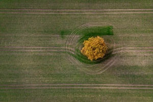 Mercosur: Agrarminister Rainer will genau auf Einhaltung von Schutzklauseln achten