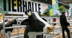 Bundespräsident Steinmeier eröffnet Landwirtschaftsmesse Grüne Woche