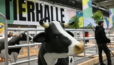 Bundespräsident Steinmeier eröffnet Landwirtschaftsmesse Grüne Woche