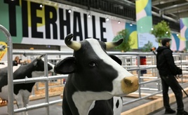 Bundespräsident Steinmeier eröffnet Landwirtschaftsmesse Grüne Woche