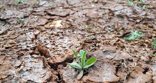 Studie: Wasserknappheit gefährdet deutsche Wettbewerbsfähigkeit