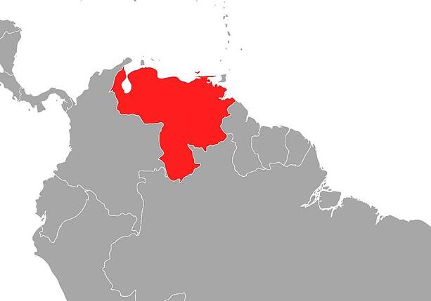 Bild vergr&ouml;&szlig;ern: Venezuela lässt mehrere Journalisten frei - Lage weiter schlecht