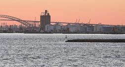 AfD kritisiert Trumps Zollpolitik