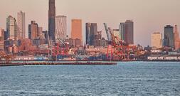 Grüne fordern entschlossene Antwort auf Trumps Zolldrohung