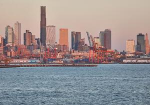 Grüne fordern entschlossene Antwort auf Trumps Zolldrohung