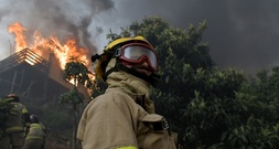 Chile ruft wegen Waldbränden mit mindestens 19 Toten Notstand aus