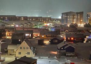 Grönland-Konflikt: CDU-Politiker für Digitalsteuer und Gegenzölle