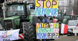 Vor Mercosur-Abstimmung im EU-Parlament: Landwirte demonstrieren in Straßburg