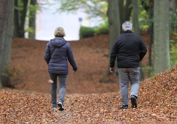 Bild vergr&ouml;&szlig;ern: Studie: Immer mehr Rentner gehen weiter arbeiten