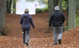 Studie: Immer mehr Rentner gehen weiter arbeiten