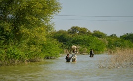 Bauern aus Pakistan reichen Klimaklage ein - RWE weist Forderung zurück