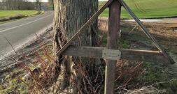 Mehr Tote und Verletzte bei Straßenverkehrsunfällen im November