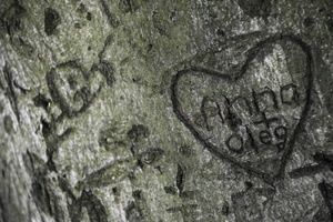 Studie: Jugendliche warten länger mit erstem Sex