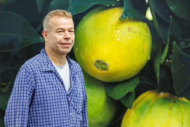 Bild vergr&ouml;&szlig;ern: Band Bronski Beat half Star-Fotograf Wolfgang Tillmans beim Outing