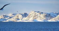 Grönland: Dobrindt will Partnerschaft mit USA nicht anzweifeln