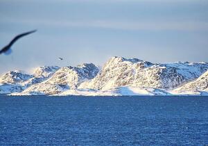 Grönland: Dobrindt will Partnerschaft mit USA nicht anzweifeln
