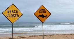 Zwölfjähriger sechs Tage nach Hai-Attacke an Verletzungen gestorben