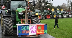 Nach Mercosur-Abstimmung: Grüne bieten Votum für schnelle Ratifizierung an