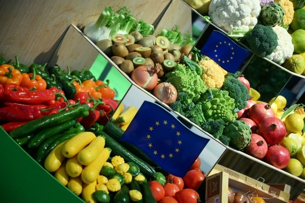 Bild vergr&ouml;&szlig;ern: Berliner Tafel sammelt auf Grüner Woche sechs Tonnen Lebensmittel ein