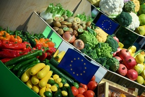 Berliner Tafel sammelt auf Grüner Woche sechs Tonnen Lebensmittel ein