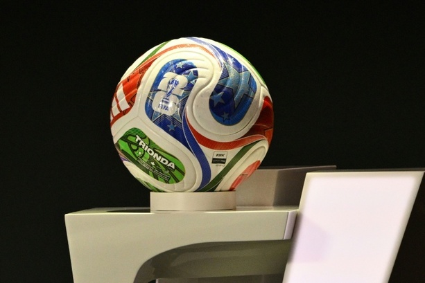 Bild vergr&ouml;&szlig;ern: Fußball-WM: Grüne fordern Schutzkonzept für deutsche Fans in den USA