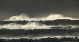 Autotransporter gerät vor Borkum in Brand