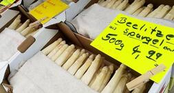 CDU pocht auf Mindestlohn-Ausnahmen für Saisonarbeiter