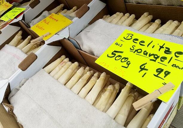 Bild vergr&ouml;&szlig;ern: CDU pocht auf Mindestlohn-Ausnahmen für Saisonarbeiter