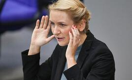 Linke kritisiert Nutzung des Sondervermögens als planlos