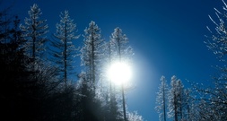 Urteil: Bisheriges Klimaschutzprogramm reicht nicht aus