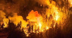 Riesige Waldbrände in Patagonien - Argentinien ruft Notstand aus