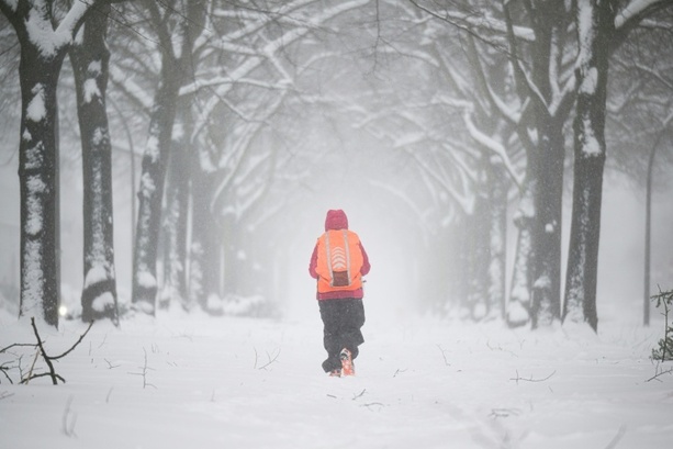 Bild vergr&ouml;&szlig;ern: Wetterdienst: Januar in Deutschland teils so schneereich wie seit 2010 nicht mehr