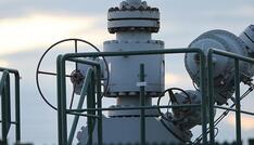 Energiewirtschaftsverband befürwortet strategische Gasreserve