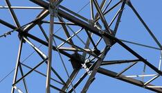 Tennet: Staatlicher Einstieg erleichtert Netzausbau