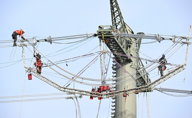 Bild vergr&ouml;&szlig;ern: Handwerkspräsident warnt vor mehr Schwarzarbeit