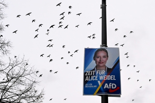 Bild vergr&ouml;&szlig;ern: Wahlhelfer der AfD in Baden-Württemberg bedrängt und mit Reizgas attackiert