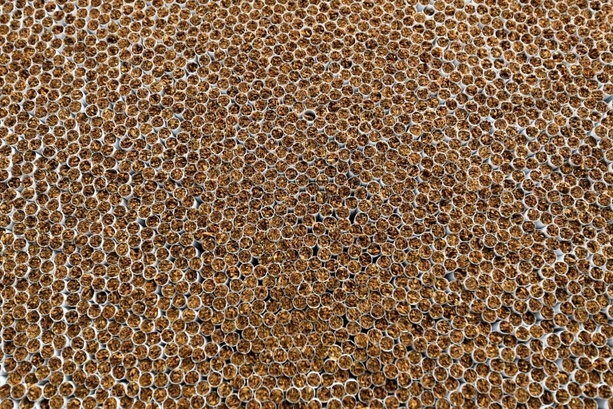 Bild vergr&ouml;&szlig;ern: Illegale Zigarettenfabrik in Sachsen-Anhalt: Vier Verdächtige in Untersuchungshaft