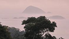 IPBES: Unternehmen gefährden durch Naturzerstörung eigene Zukunft