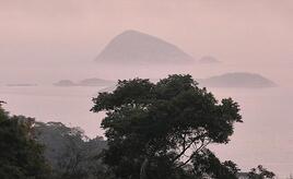 IPBES: Unternehmen gefährden durch Naturzerstörung eigene Zukunft